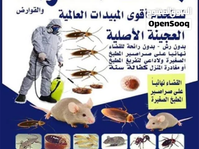 مكافحة حشرات وقوارض جميع مناطق الكويت