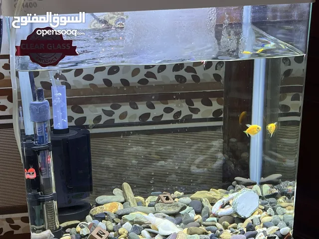 حوض اسماك نوعية ممتازة