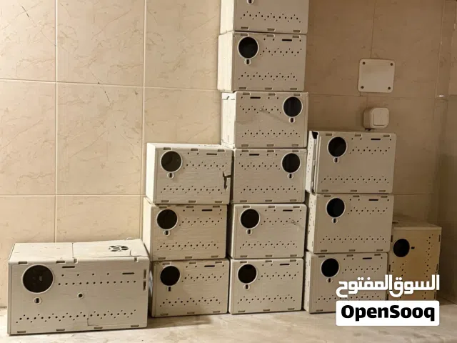 17 حضانه الغزاله