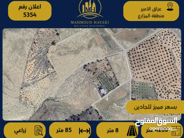 رقم الإعلان: (5354) قطعة أرض زراعية مميزة في عراق الأمير – منطقة المزارع