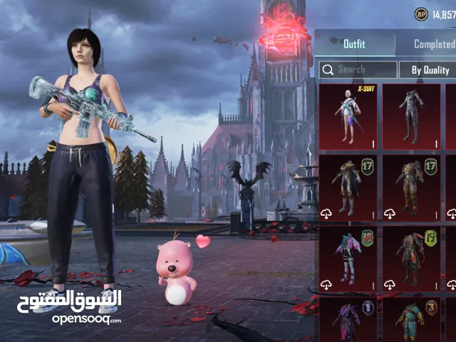 Pubg Accounts and Characters for Sale in Ajman