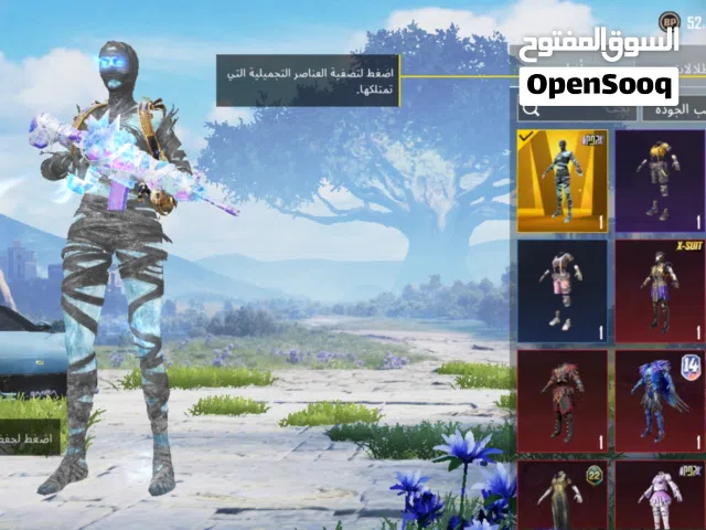Pubg Accounts and Characters for Sale in Cairo