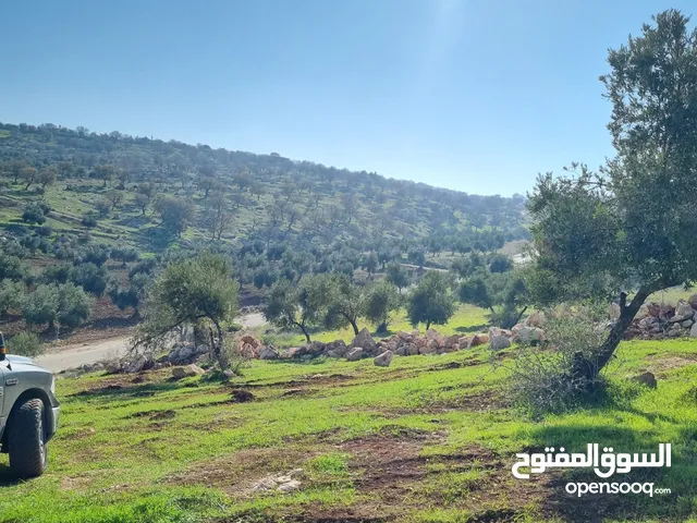 Farm Land for Sale in Zarqa Al-Alouk