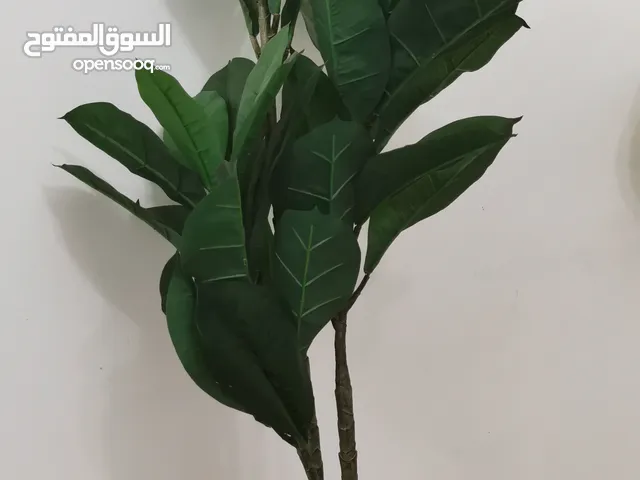 شجرة بلاستيكية كبيرة