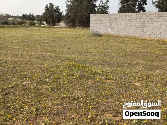 أرض للبيع بجودايم الزاوية