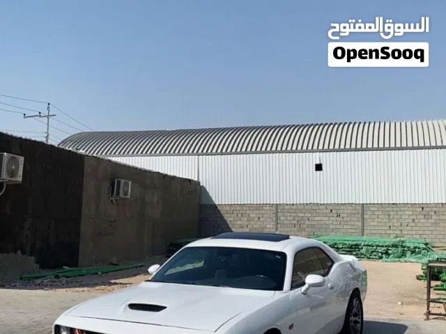 Used Dodge Challenger in Basra