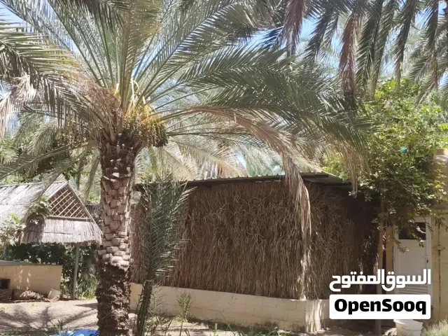 مزرعة قائمه