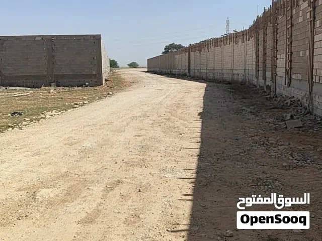 ارض للبيع الطلحيه  مفرق المقزحه
