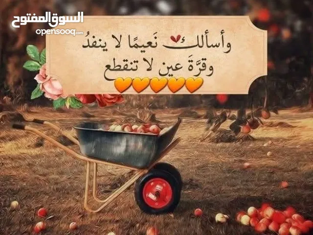 يوجد استديو لإيجار بالمهبولة ق 3 شارع 305 عمارة 27 مقابل ماكدونالدز خلف صيدلية السور
