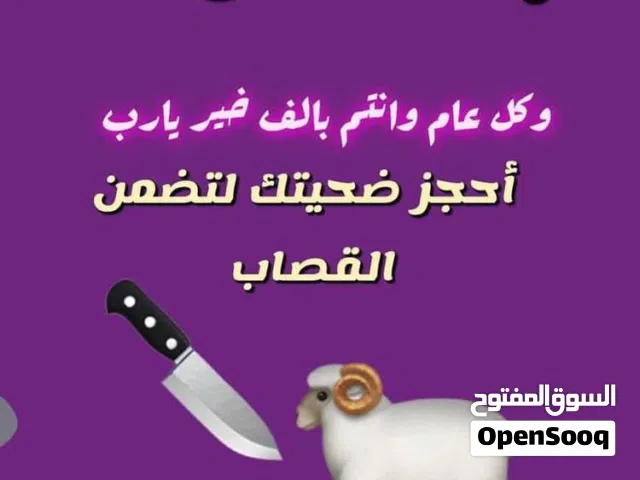 للبيع اضاحي طيبه نعيمي محلي وشمالي شرط السمنه وطيبه اللحم يوجد خدمه قصاب وتوصيل على حسب الطلب