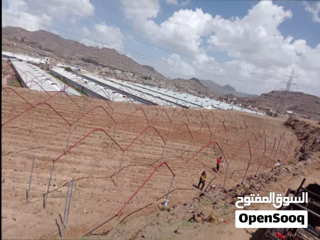 بيوت محميه زراعيه للقات والطماط عقود بجميع السماكات