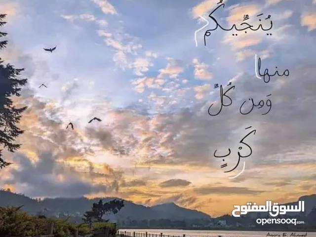 نفسك تعتمر؟ وإنت من الصعيد؟ دلوقتي شركة الفيرووز للسياحة بتوفرلك رحلات عمرة مميزة