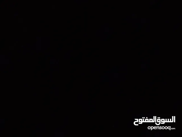إذا عندك كلب وبدك حد يتبناه ابعثلي