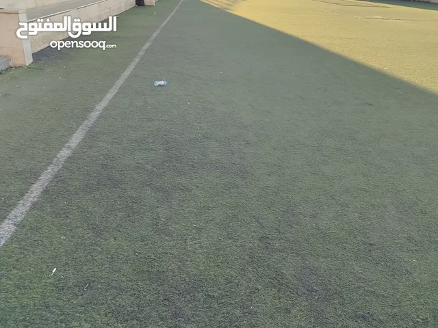 عشب ملاعب صناعي للبيع