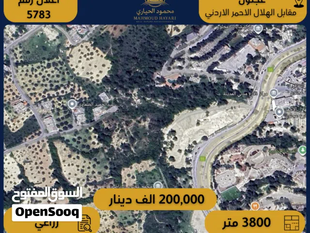 Farm Land for Sale in Ajloun Downtown