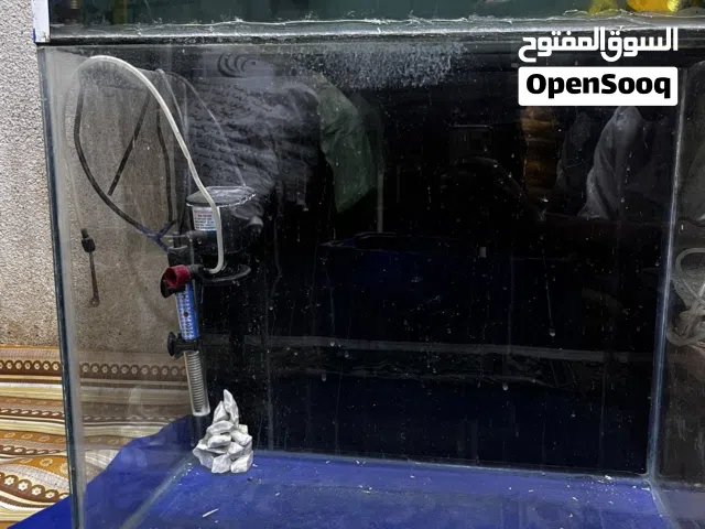 حوضين اسماك زينه للبيع