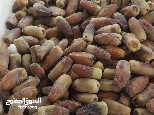 تمر نغال الحبه الكبيره للبيع