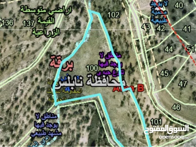 Mixed Use Land for Sale in Nablus Burqa