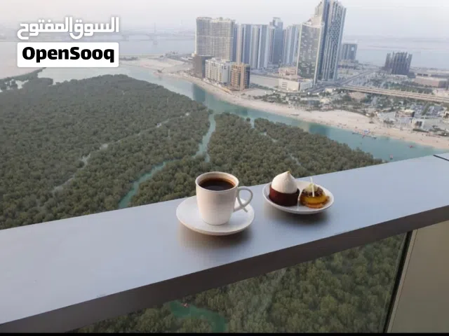 1150 ft² 2 Bedrooms Apartments for Sale in Abu Dhabi Al Reem Island