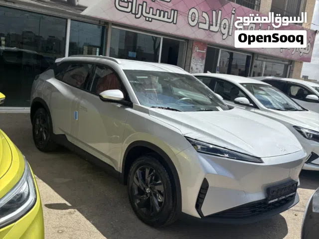 2027 دونج فينج سكاي EV01