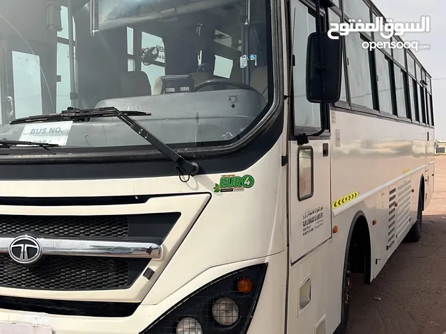 تاتا 2022 passengers buss