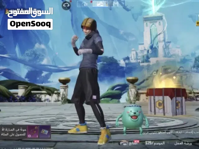 Pubg Accounts and Characters for Sale in Northern Governorate