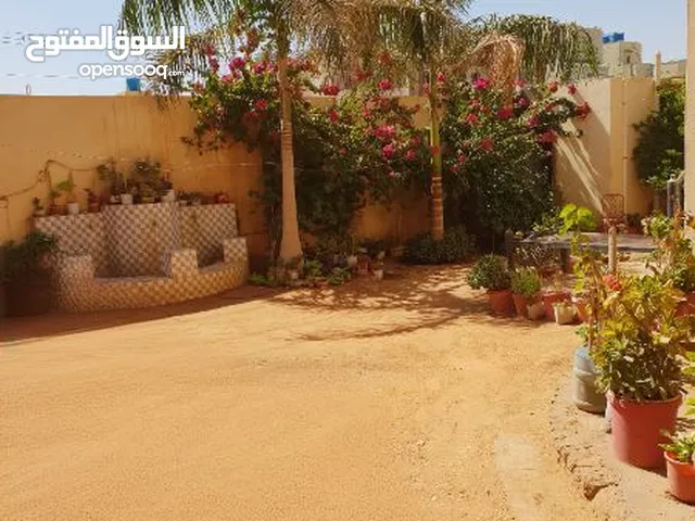 Spacious Multi-Unit Property for Rent in Al Taif – Ideal for Organizations, institutes or Companies.