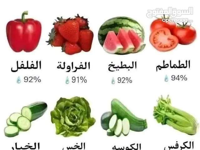 معهد لغه انحليزي وكمبيوتر للبيع