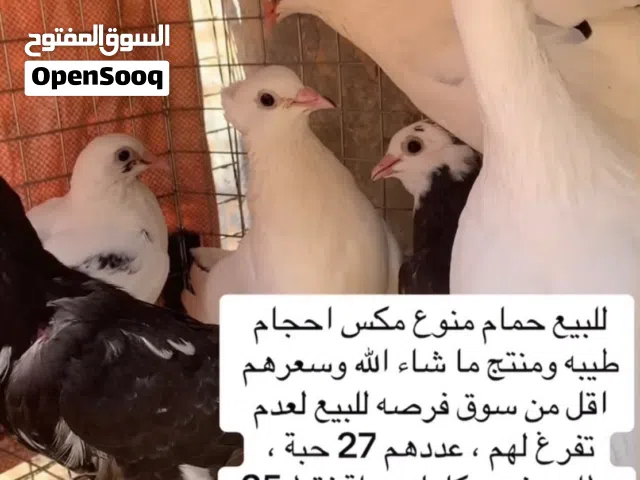 للبيع حمام فرصه اقل من سعر سوق واحجام ممتازة جميع تفاصيل بالصور