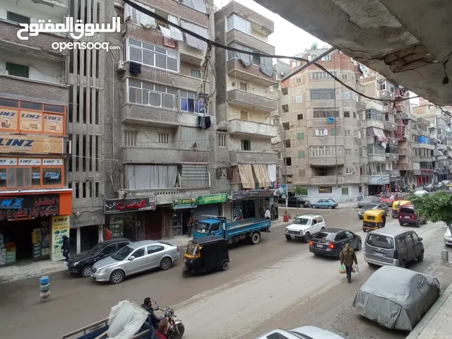 Unfurnished Offices in Alexandria Sidi Beshr