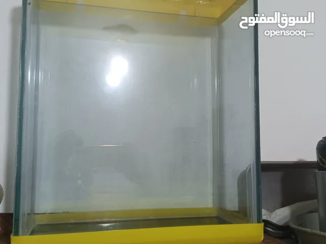 حوض سمك أخو الجديد