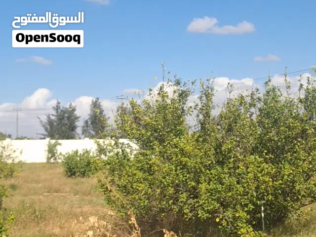 السلام عليكم قطعة ارض للبيع