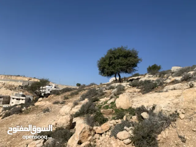 Residential Land for Sale in Hebron Other