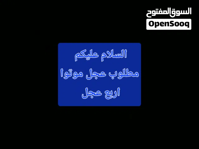 مطلوب عجل موتوا اربع عجل