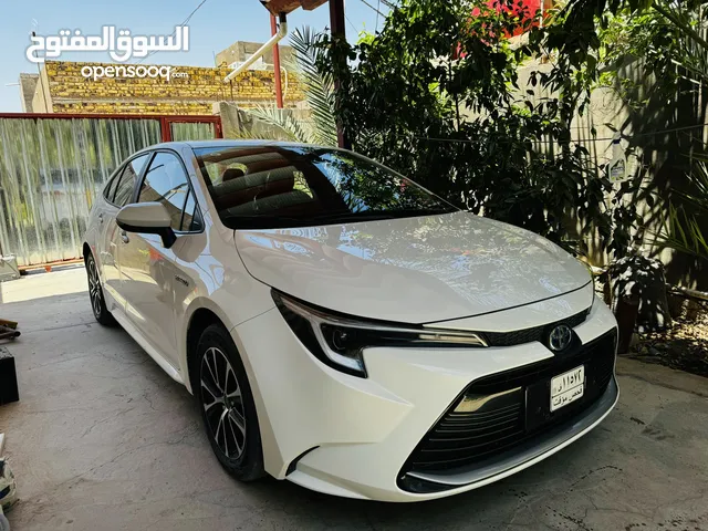 New Toyota Corolla in Najaf