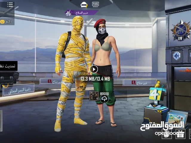 Pubg Accounts and Characters for Sale in Irbid