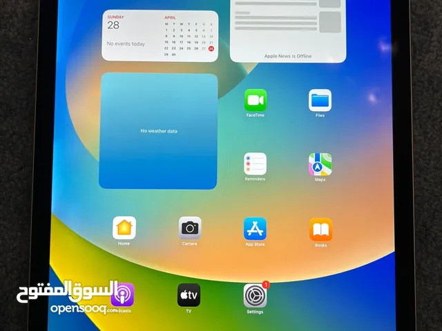 Ipad Pro 12.9 inch (2nd Generation)