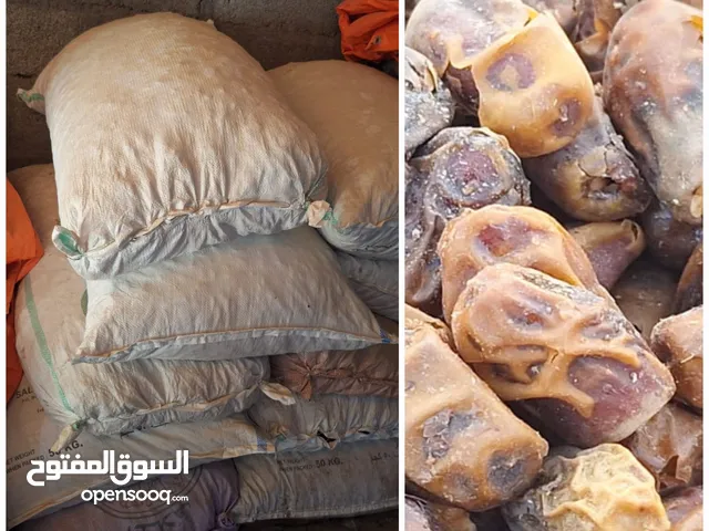 للبيع تمر نفيعة محلي – إنتاج 2025