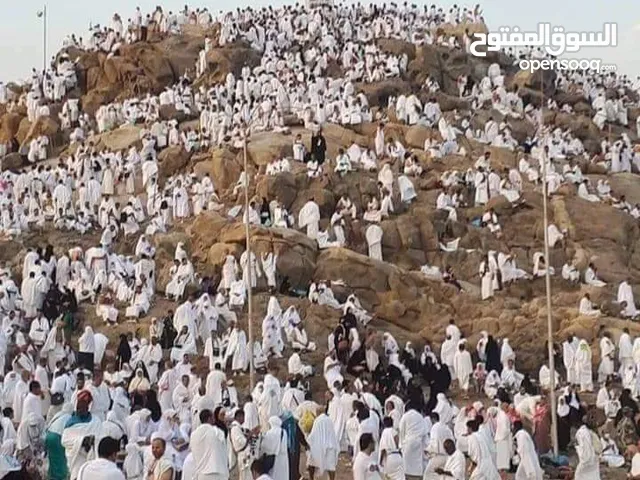 عبدالله أبو عدي