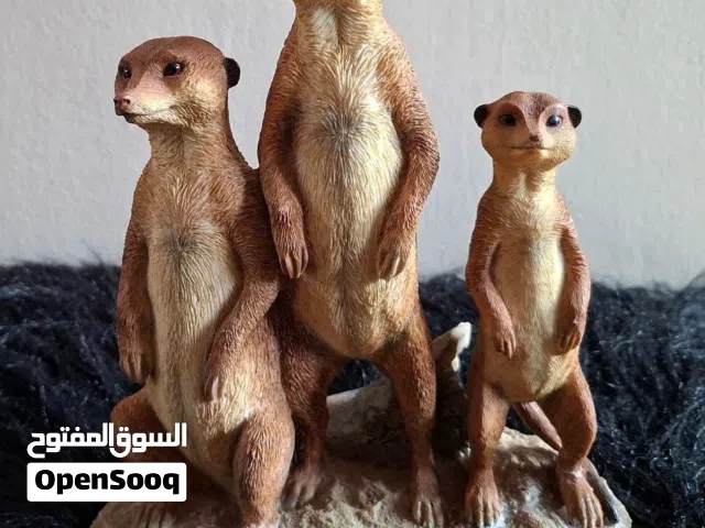 قطع مميزه للمهتمين
