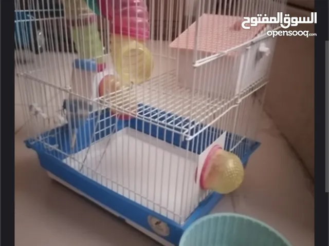Hamster cage