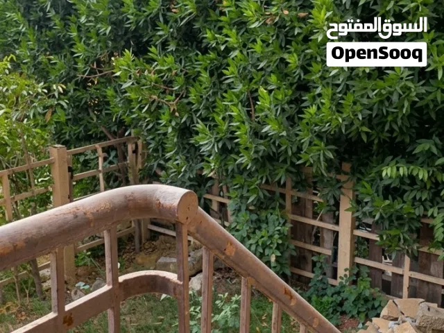 Residential Land for Rent in Cairo Madinaty
