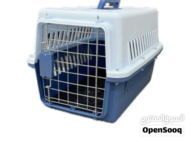 بوكس قطط كبير