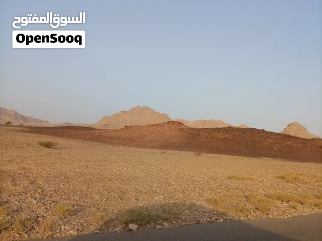 يوجد محجر رخام للبيع والاستثمار