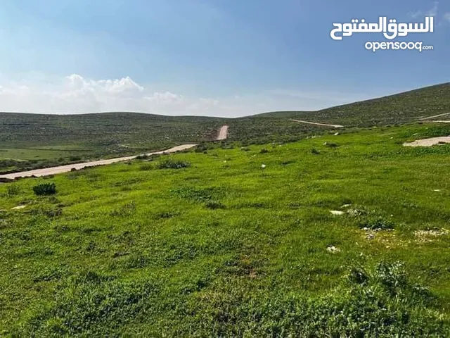 Mixed Use Land for Sale in Zarqa Al-Qnaiya