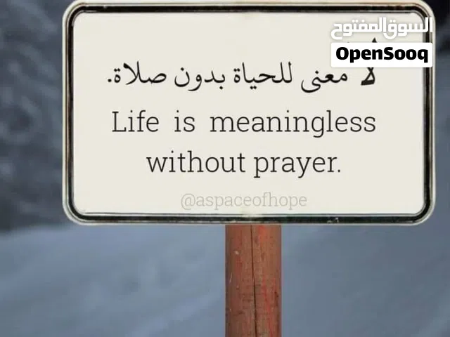 مطلوب مستأجر