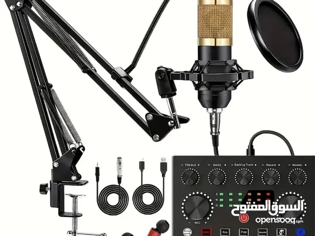 BM800-podcast microphone