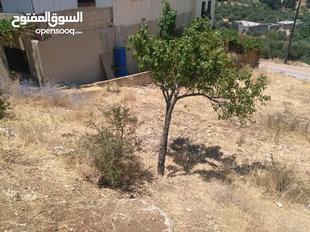 Residential Land for Sale in Ajloun Sakhra