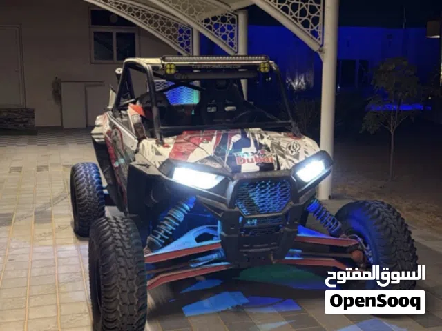 2015 بولاريس اخرى