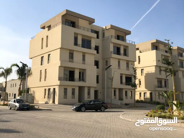 مشروع بالم هيلز اسكندريه